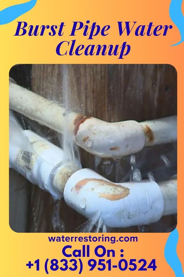 Burst Pipe Water Cleanup in Shawneetown, MO